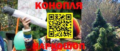 шишки Волгодонск