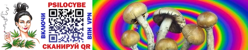 купить   Гатчина  Галлюциногенные грибы MAGIC MUSHROOMS 