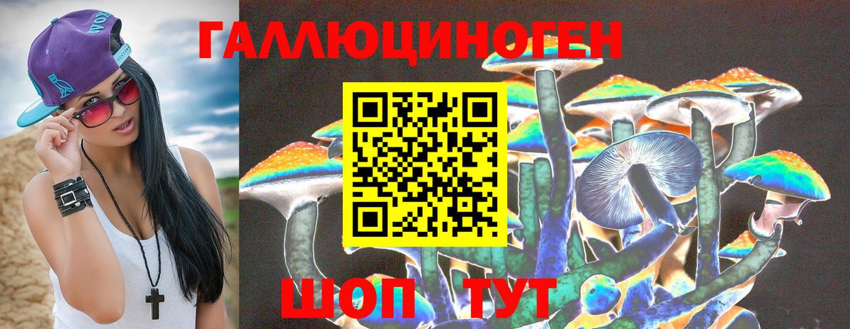 Псилоцибиновые грибы Cubensis Гатчина