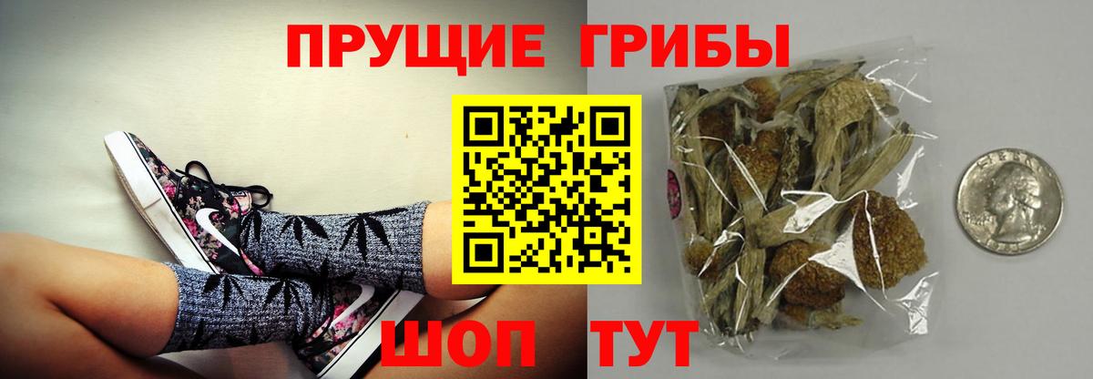 Гатчина  Псилоцибиновые грибы GOLDEN TEACHER  Псилоцибиновые грибы GOLDEN TEACHER  Вход с VPN 